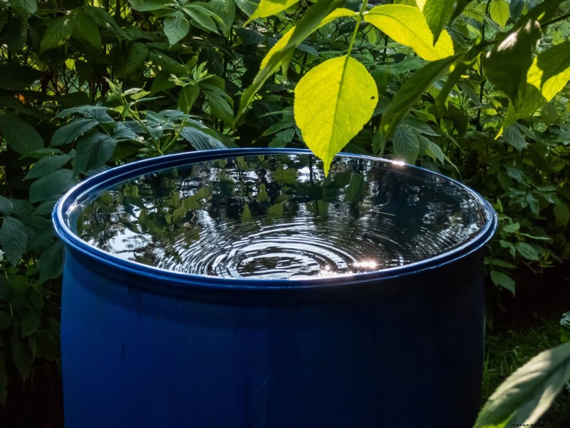 Sustainable Lawn Care: Surviving Heatwaves & Drought - Expert Tips