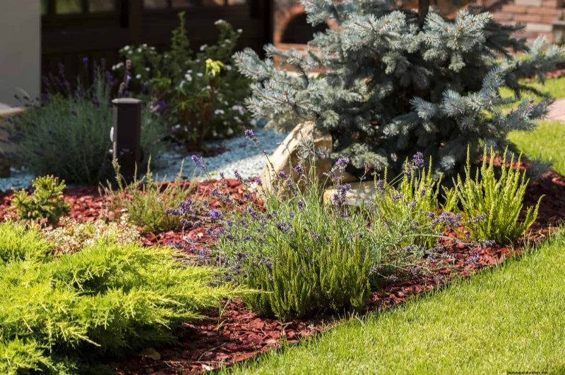 Sustainable Lawn Care: Surviving Heatwaves & Drought - Expert Tips