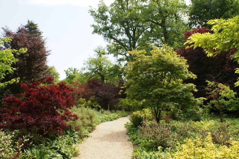 Sustainable Lawn Care: Surviving Heatwaves & Drought - Expert Tips