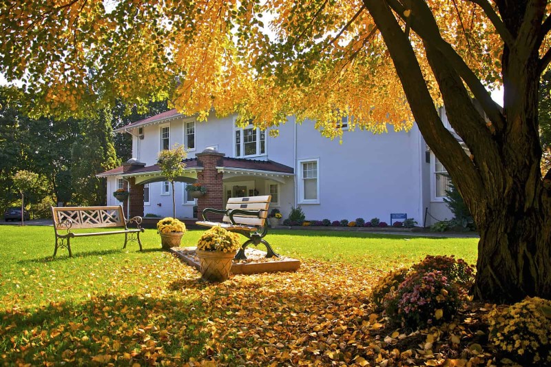 Sustainable Lawn Care: Surviving Heatwaves & Drought - Expert Tips