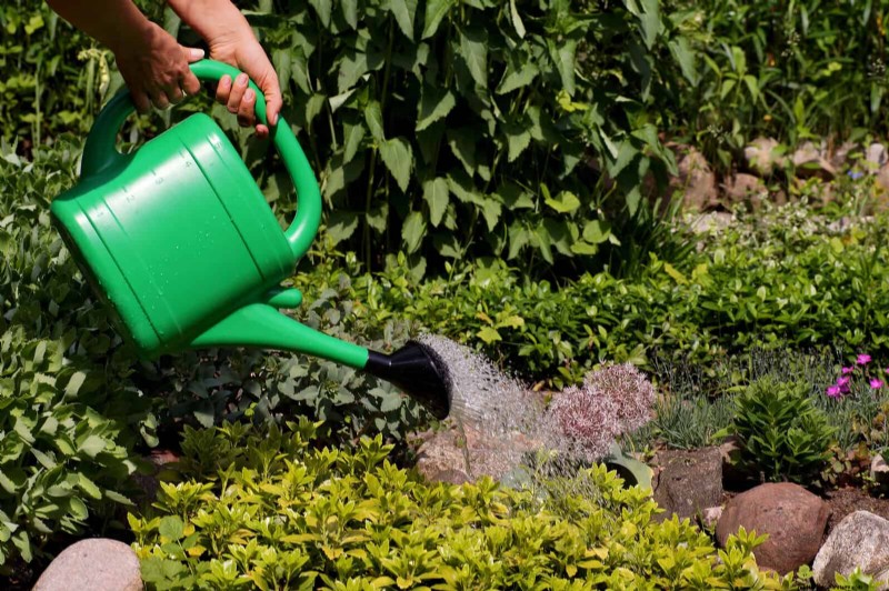 Sustainable Lawn Care: Surviving Heatwaves & Drought - Expert Tips