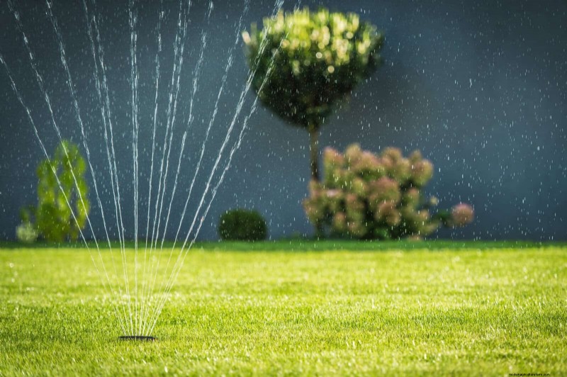 Sustainable Lawn Care: Surviving Heatwaves & Drought - Expert Tips