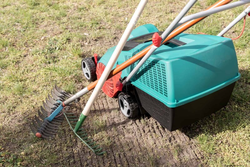 Sustainable Lawn Care: Surviving Heatwaves & Drought - Expert Tips