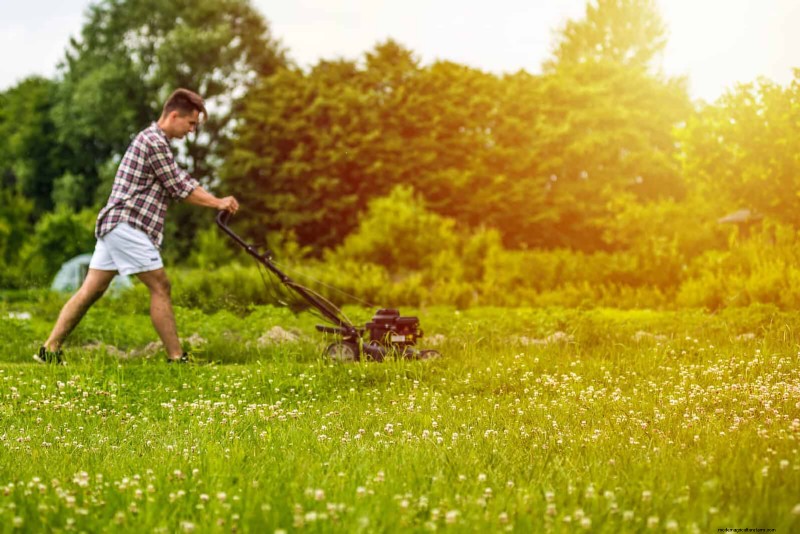 Sustainable Lawn Care: Surviving Heatwaves & Drought - Expert Tips