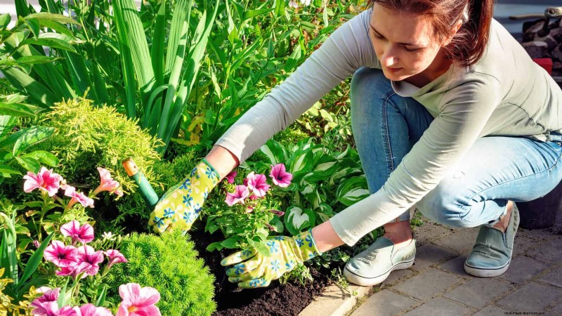 Last-Minute Planting Guide: 29 Plants for Memorial Day Garden Success