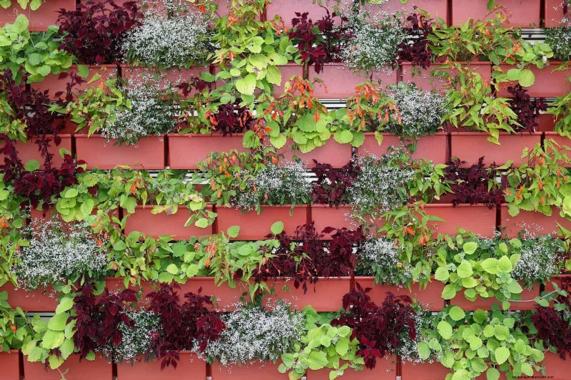 25 Clever Small Space Gardening Ideas for Maximum Yield