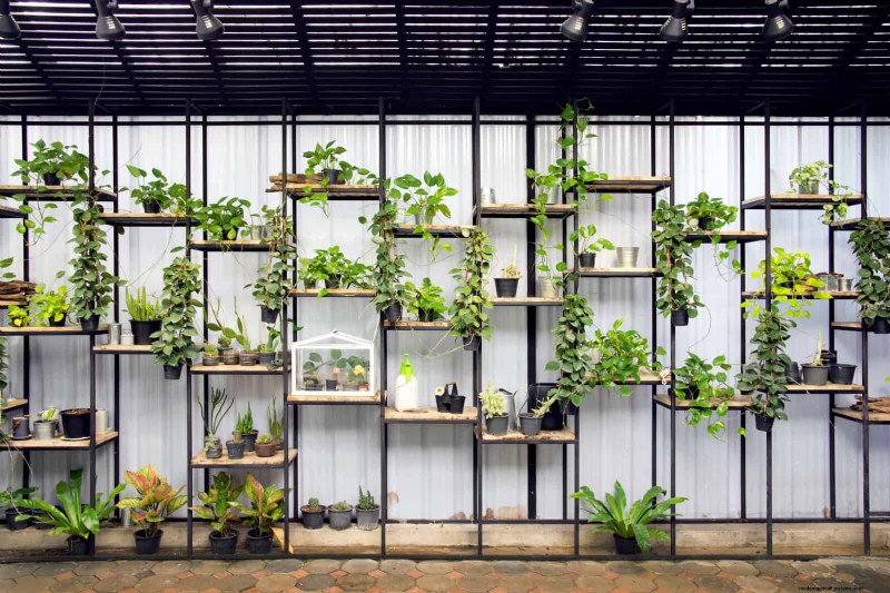 25 Clever Small Space Gardening Ideas for Maximum Yield