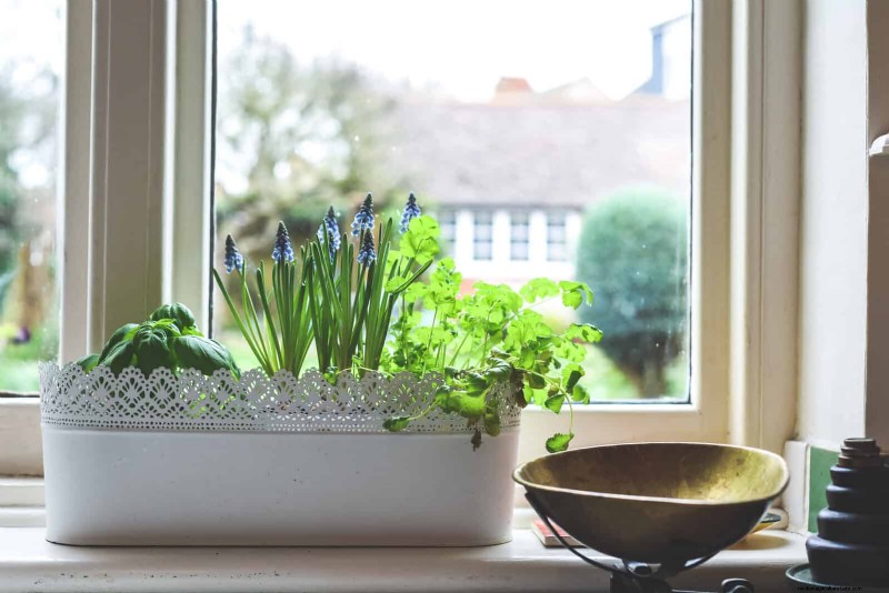 25 Clever Small Space Gardening Ideas for Maximum Yield