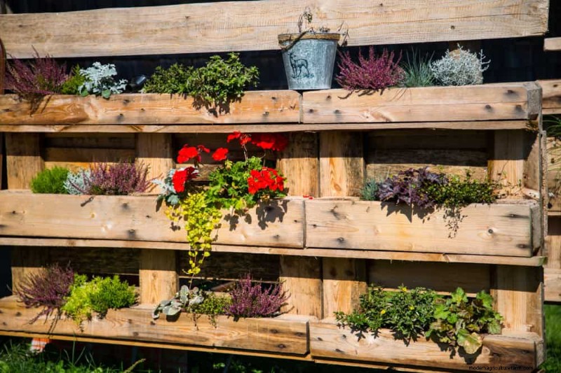 25 Clever Small Space Gardening Ideas for Maximum Yield