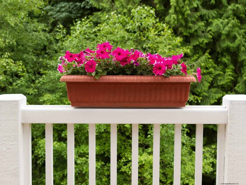 25 Clever Small Space Gardening Ideas for Maximum Yield