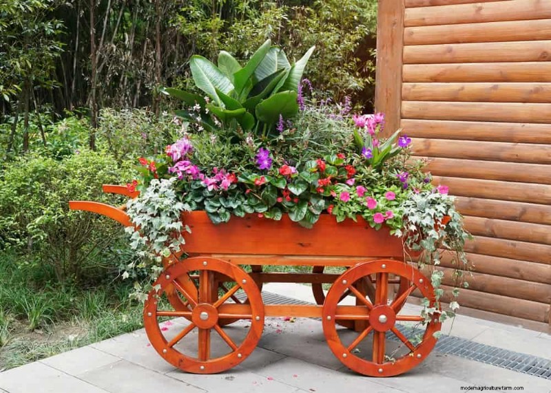 25 Clever Small Space Gardening Ideas for Maximum Yield