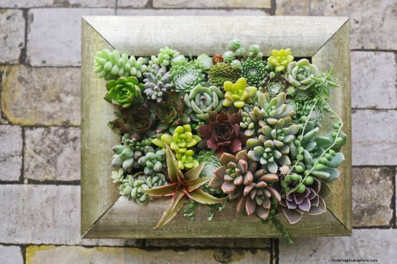 25 Clever Small Space Gardening Ideas for Maximum Yield