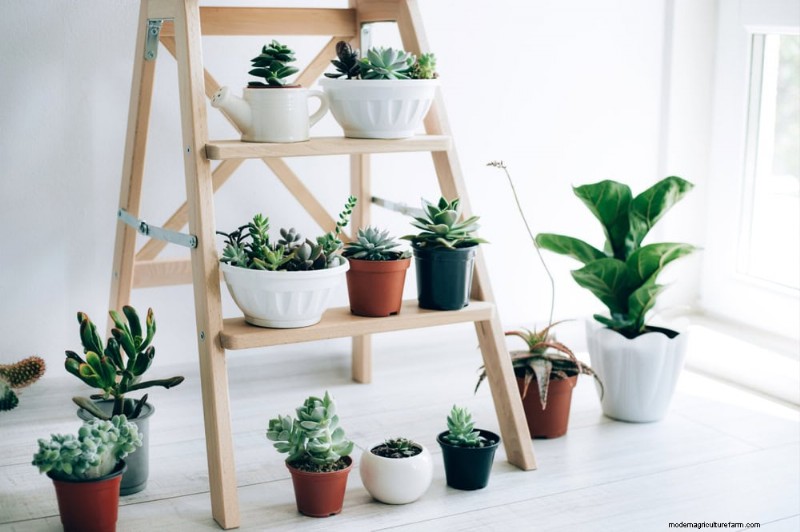 25 Clever Small Space Gardening Ideas for Maximum Yield