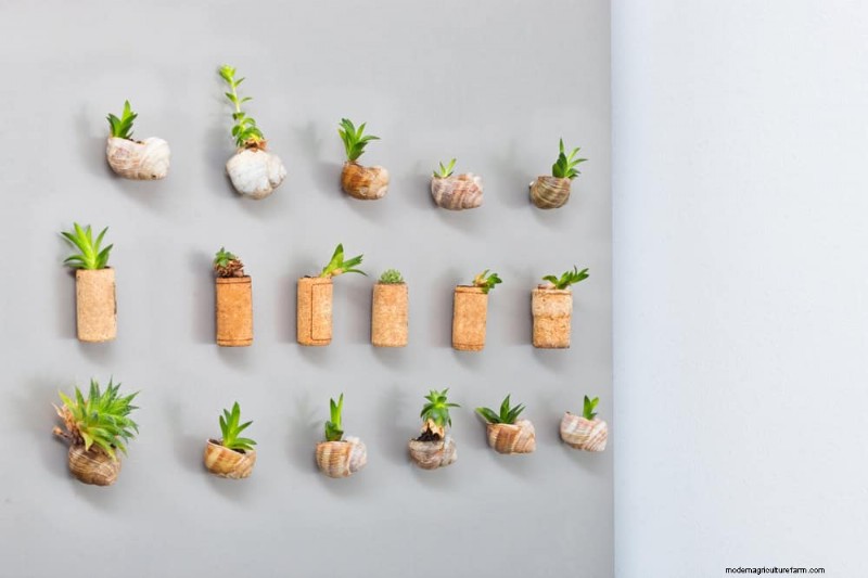 25 Clever Small Space Gardening Ideas for Maximum Yield