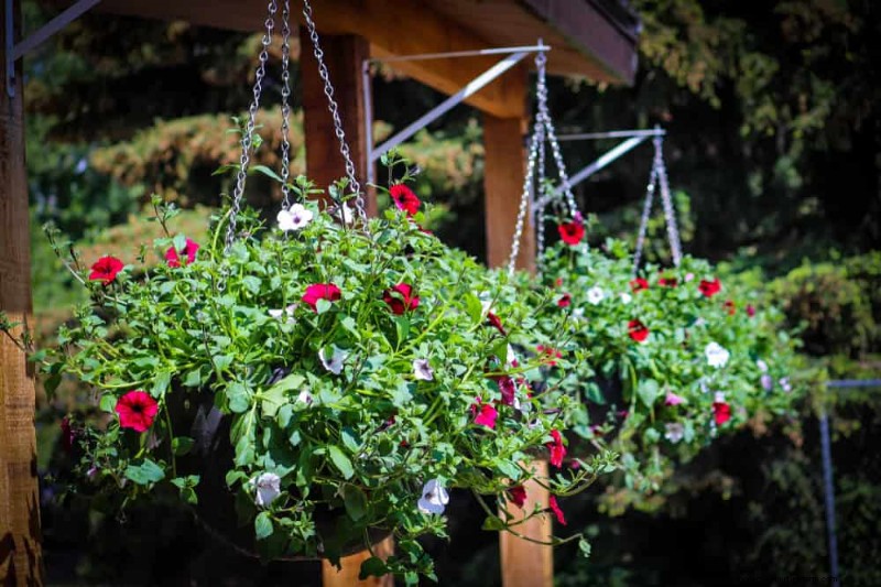 25 Clever Small Space Gardening Ideas for Maximum Yield