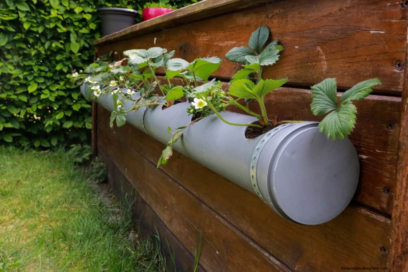 25 Clever Small Space Gardening Ideas for Maximum Yield