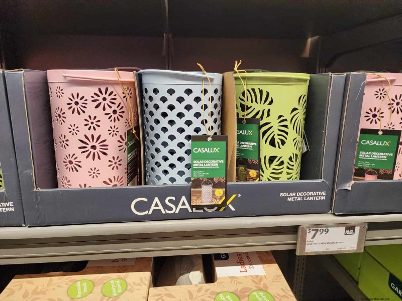 Aldi Garden Finds: 30+ Budget-Friendly Decor & Tools