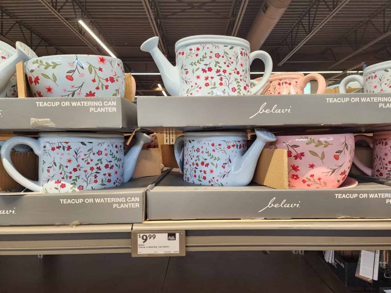 Aldi Garden Finds: 30+ Budget-Friendly Decor & Tools