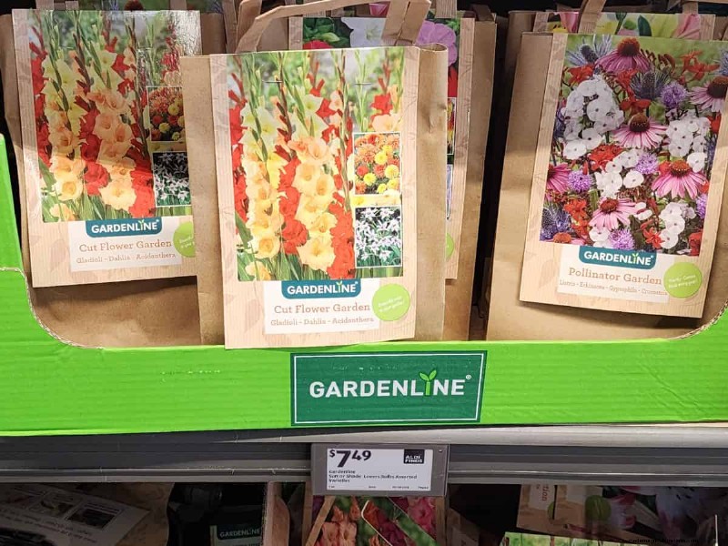 Aldi Garden Finds: 30+ Budget-Friendly Decor & Tools