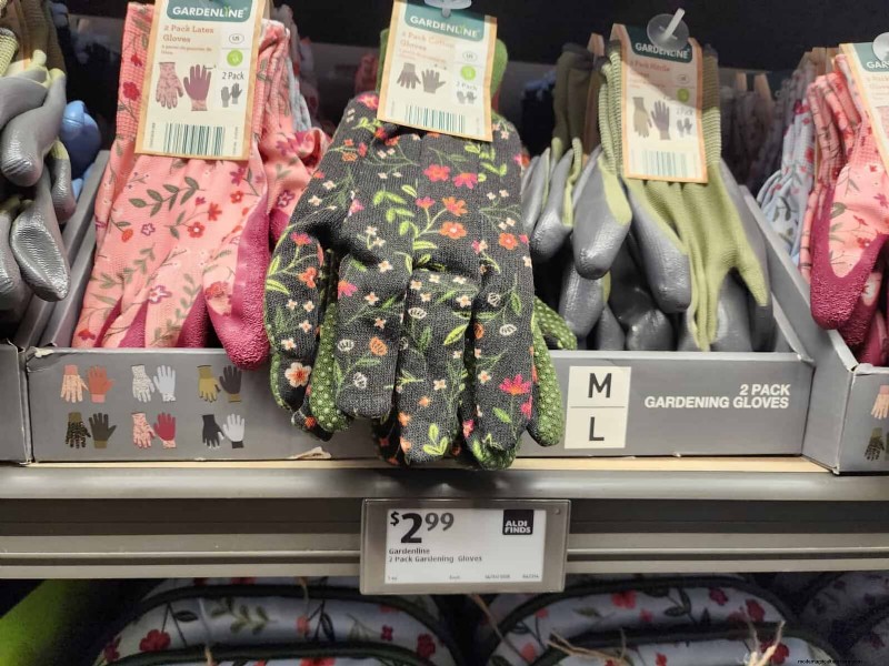 Aldi Garden Finds: 30+ Budget-Friendly Decor & Tools