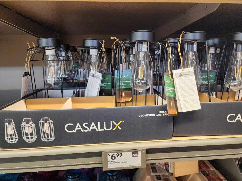 Aldi Garden Finds: 30+ Budget-Friendly Decor & Tools