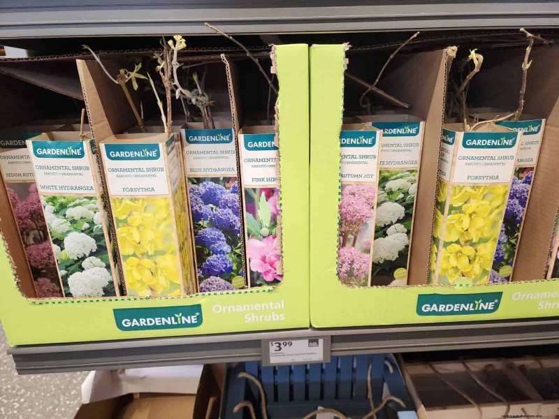 Aldi Garden Finds: 30+ Budget-Friendly Decor & Tools