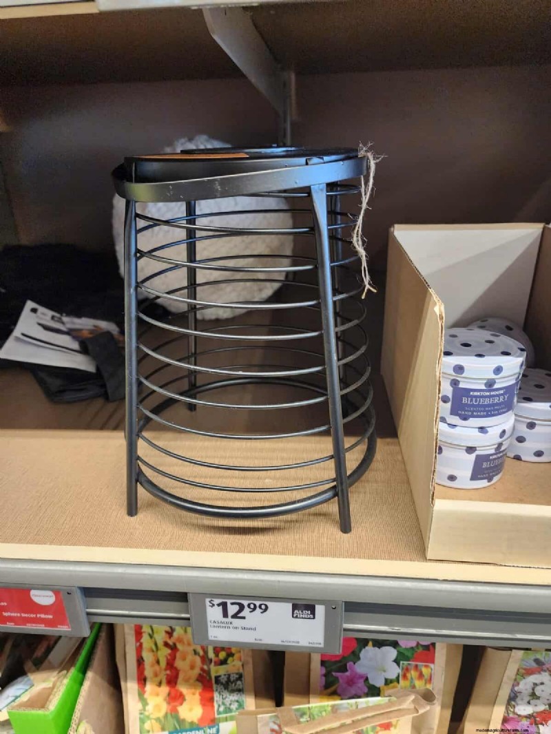 Aldi Garden Finds: 30+ Budget-Friendly Decor & Tools