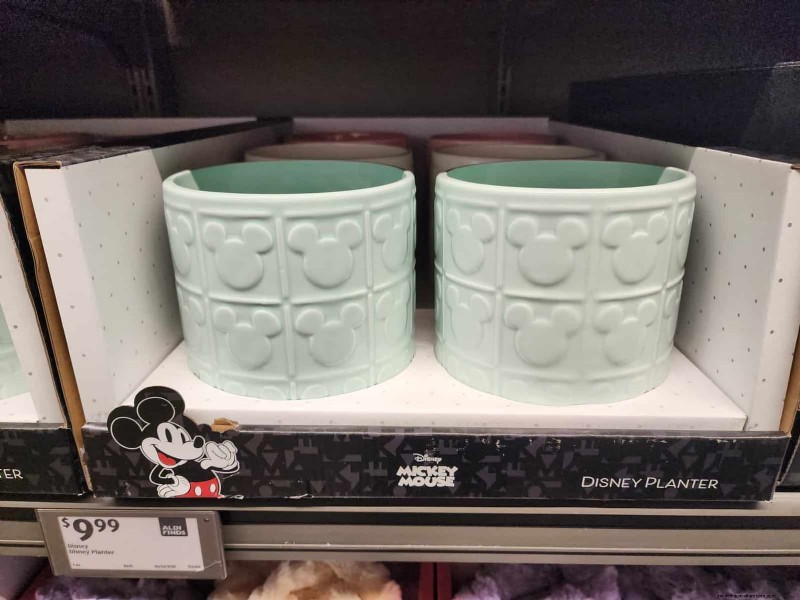 Aldi Garden Finds: 30+ Budget-Friendly Decor & Tools