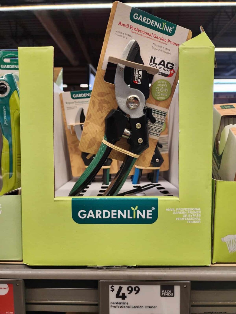 Aldi Garden Finds: 30+ Budget-Friendly Decor & Tools