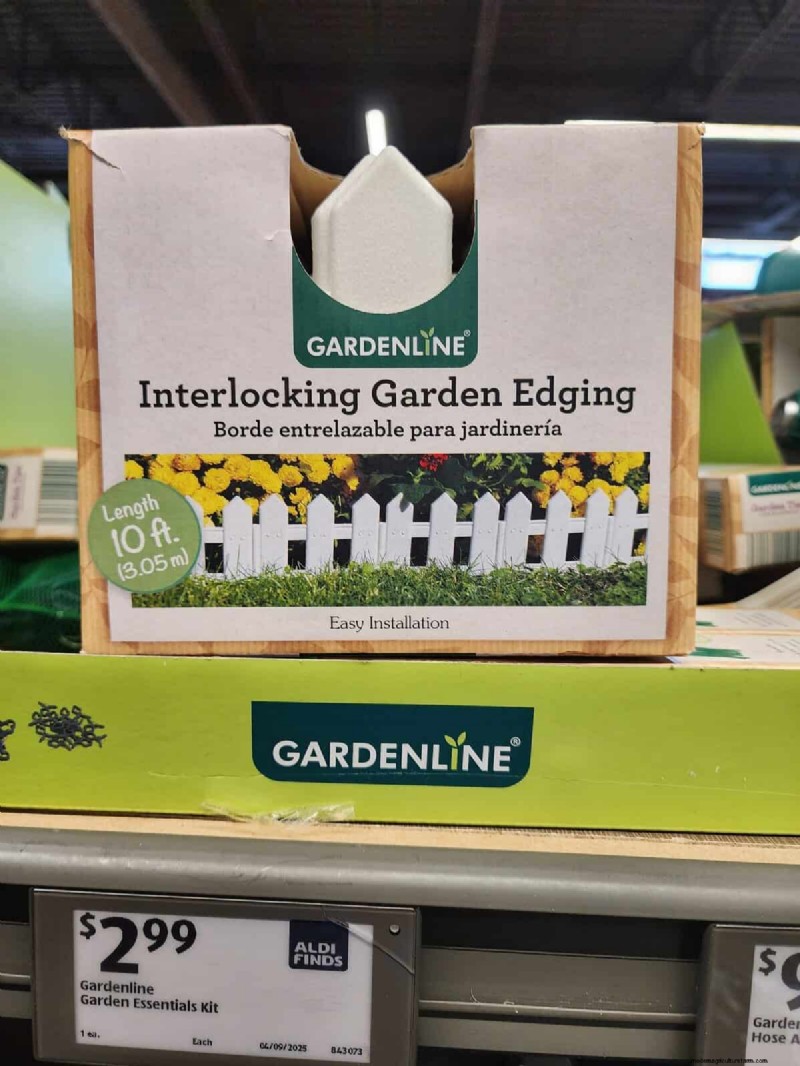 Aldi Garden Finds: 30+ Budget-Friendly Decor & Tools