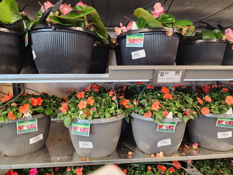 Aldi Garden Finds: 30+ Budget-Friendly Decor & Tools