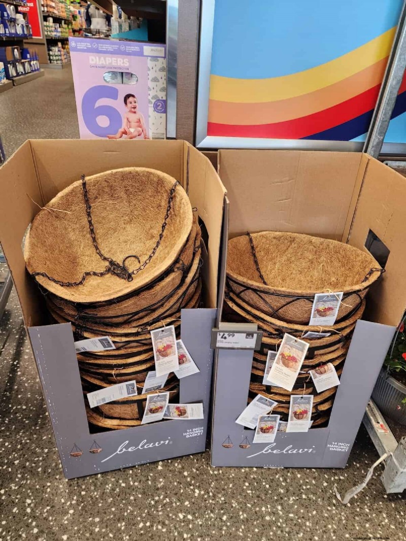 Aldi Garden Finds: 30+ Budget-Friendly Decor & Tools