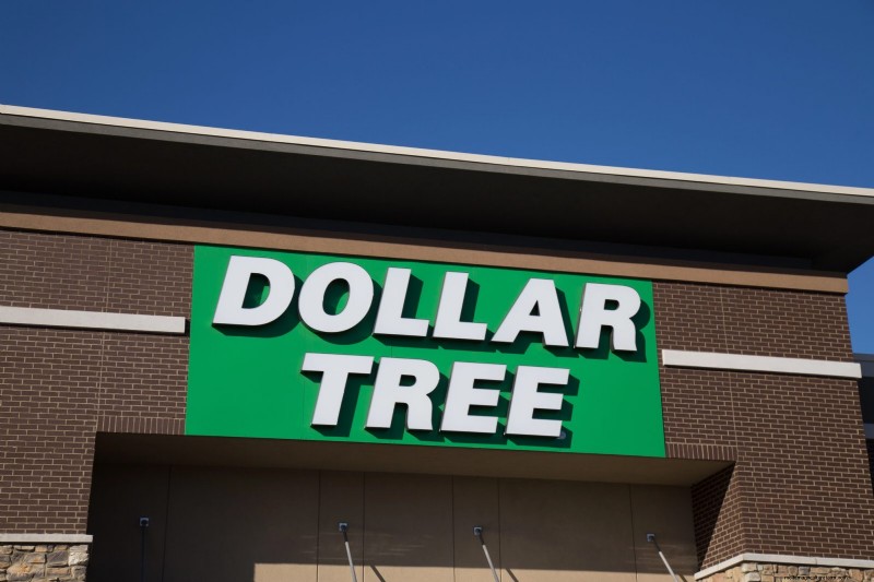 Budget-Friendly Garden Decor: Amazing Finds Under $5 at Dollar Tree