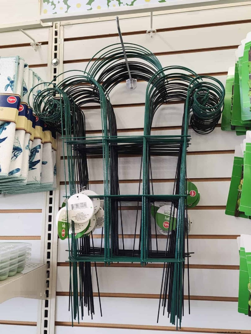 Budget-Friendly Garden Decor: Amazing Finds Under $5 at Dollar Tree