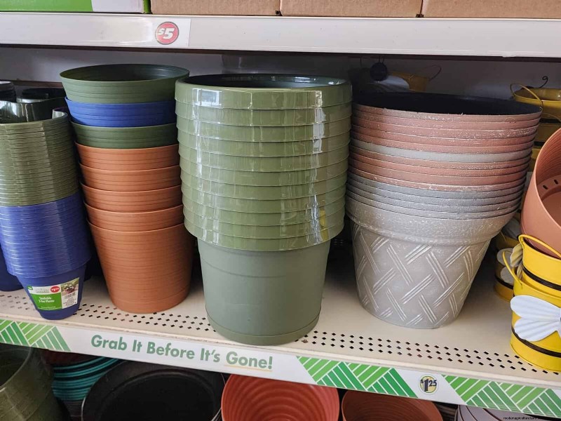 Budget-Friendly Garden Decor: Amazing Finds Under $5 at Dollar Tree