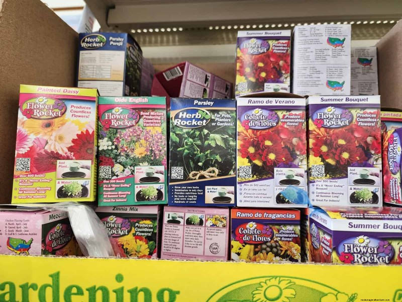 Budget-Friendly Garden Decor: Amazing Finds Under $5 at Dollar Tree