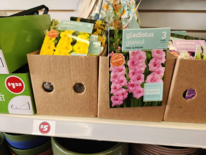 Budget-Friendly Garden Decor: Amazing Finds Under $5 at Dollar Tree