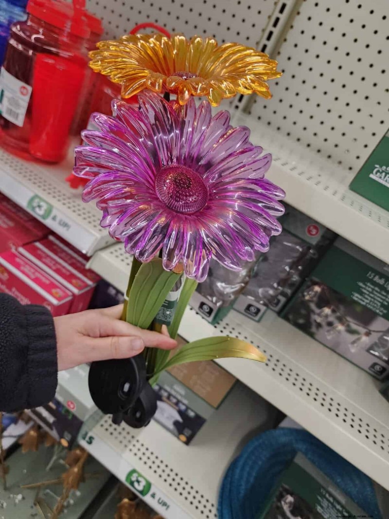 Budget-Friendly Garden Decor: Amazing Finds Under $5 at Dollar Tree