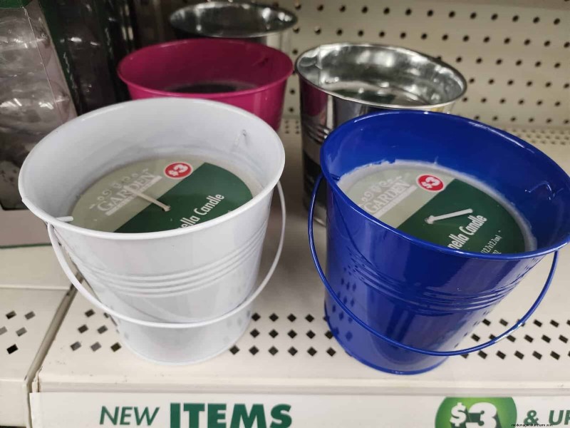 Budget-Friendly Garden Decor: Amazing Finds Under $5 at Dollar Tree