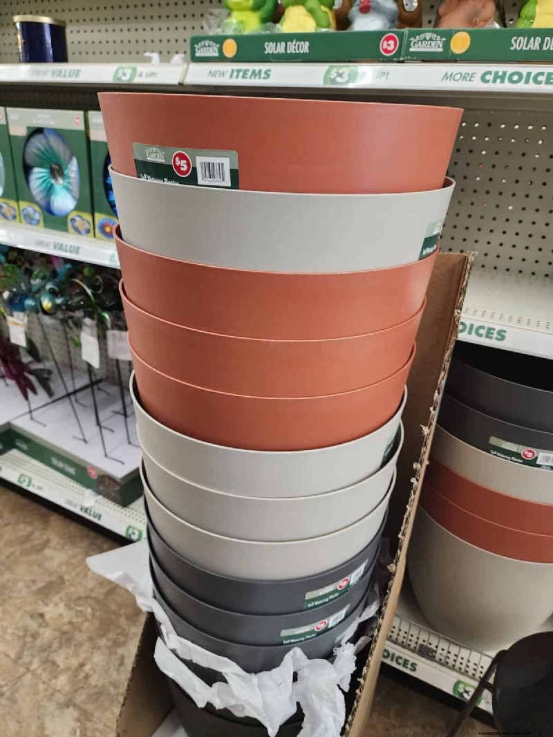 Budget-Friendly Garden Decor: Amazing Finds Under $5 at Dollar Tree