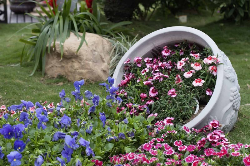 Creative Garden Mistakes: Turn  Oops  Moments into Design Strengths