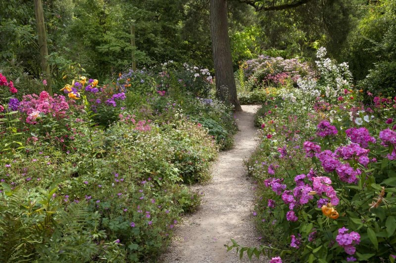 Creative Garden Mistakes: Turn  Oops  Moments into Design Strengths