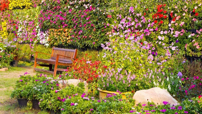Creative Garden Mistakes: Turn  Oops  Moments into Design Strengths