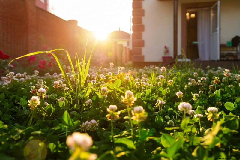 Creative Garden Mistakes: Turn  Oops  Moments into Design Strengths
