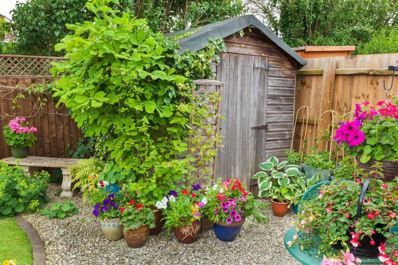 Creative Garden Mistakes: Turn  Oops  Moments into Design Strengths