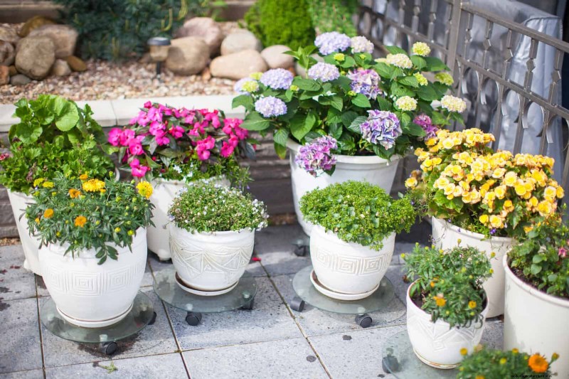 Creative Garden Mistakes: Turn  Oops  Moments into Design Strengths
