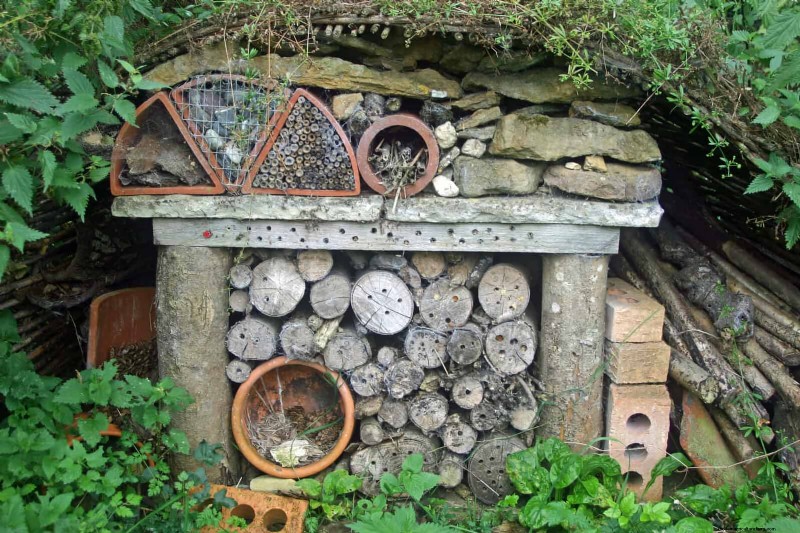 Creative Garden Mistakes: Turn  Oops  Moments into Design Strengths