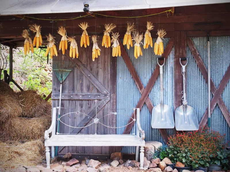 Creative Garden Mistakes: Turn  Oops  Moments into Design Strengths