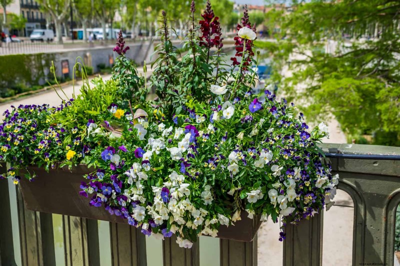 Creative Garden Mistakes: Turn  Oops  Moments into Design Strengths