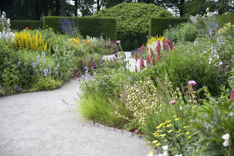 Creative Garden Mistakes: Turn  Oops  Moments into Design Strengths